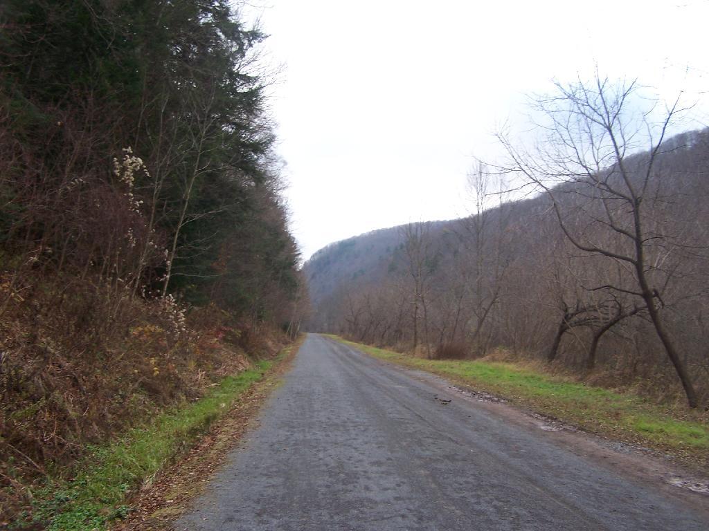 Photo: Along the Rail Trail