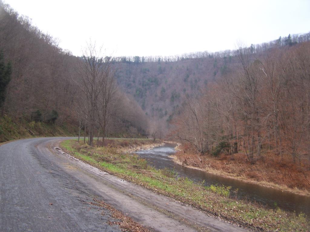 Photo: Old Railbed Follows the Creek