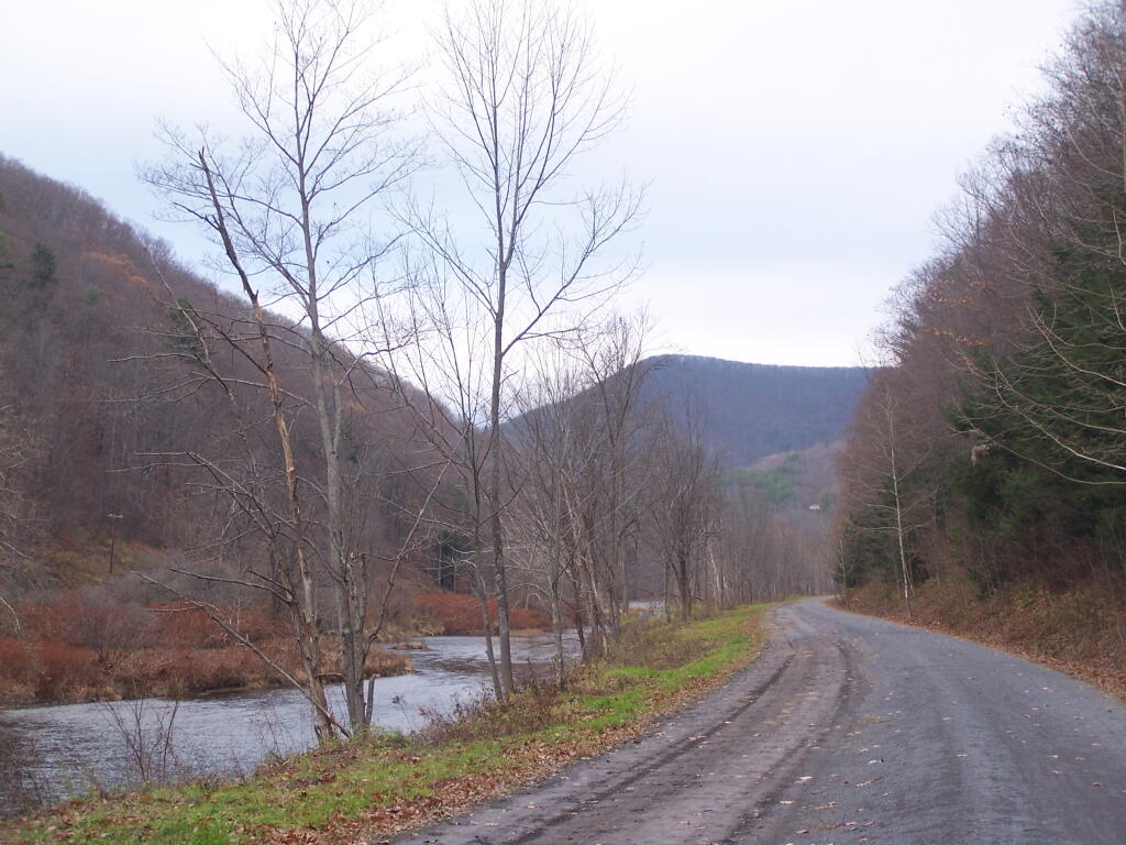 Photo: North Along Rail Trail