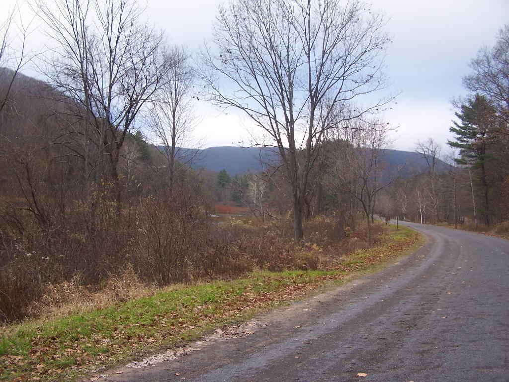 Photo: Along the Trail Photo: Along the Trail