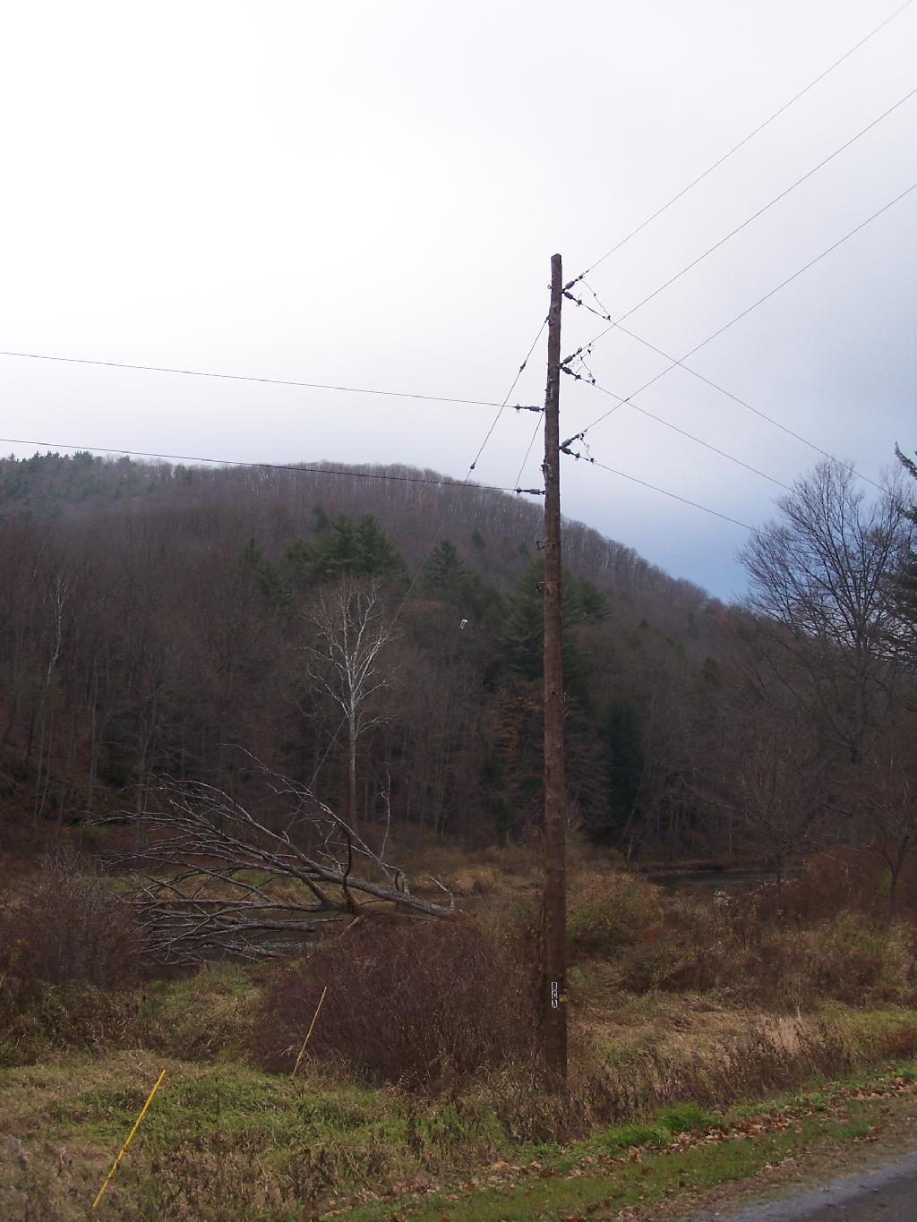 Photo: Power Lines