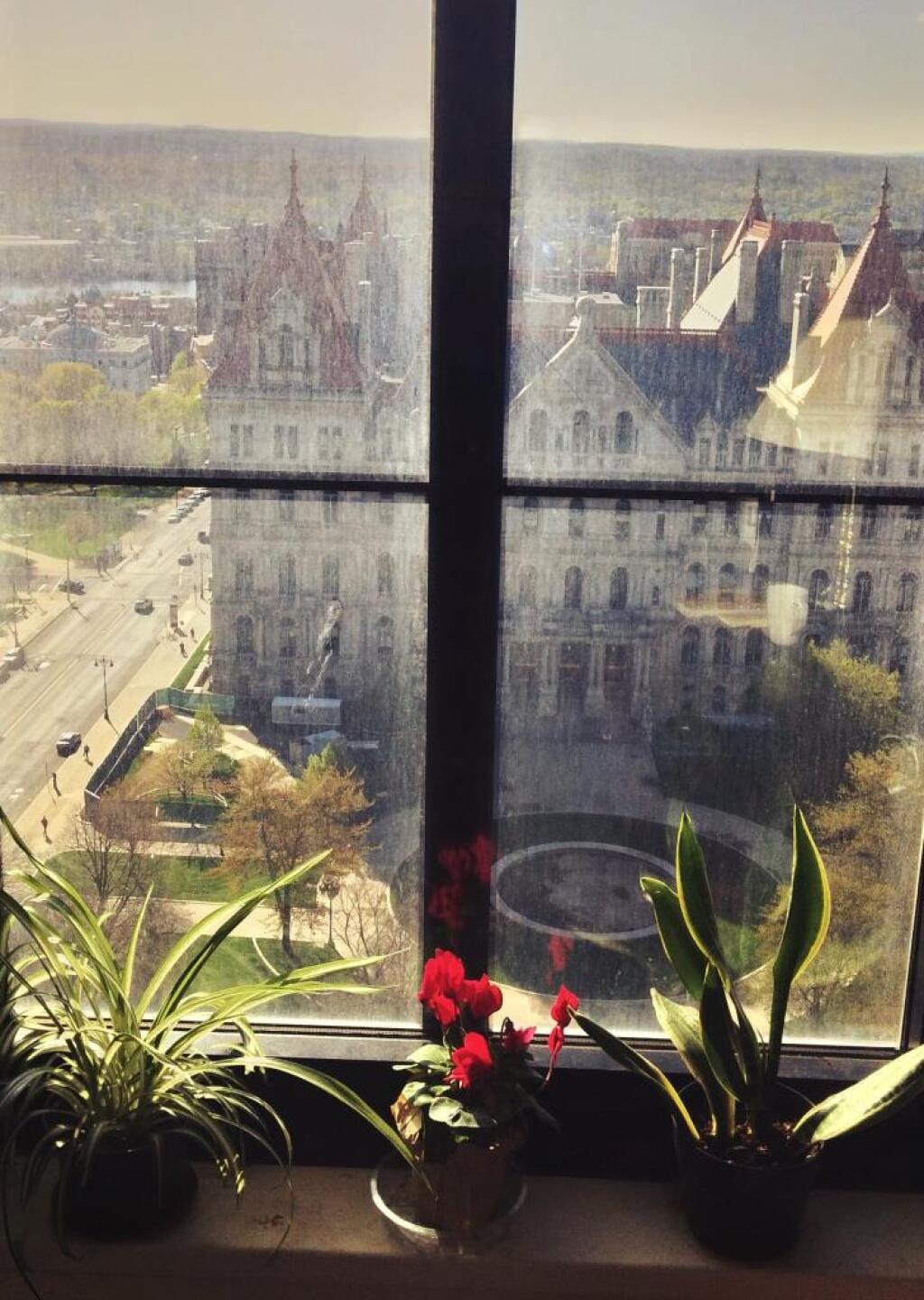 Photo: Sunny Morning in the Office