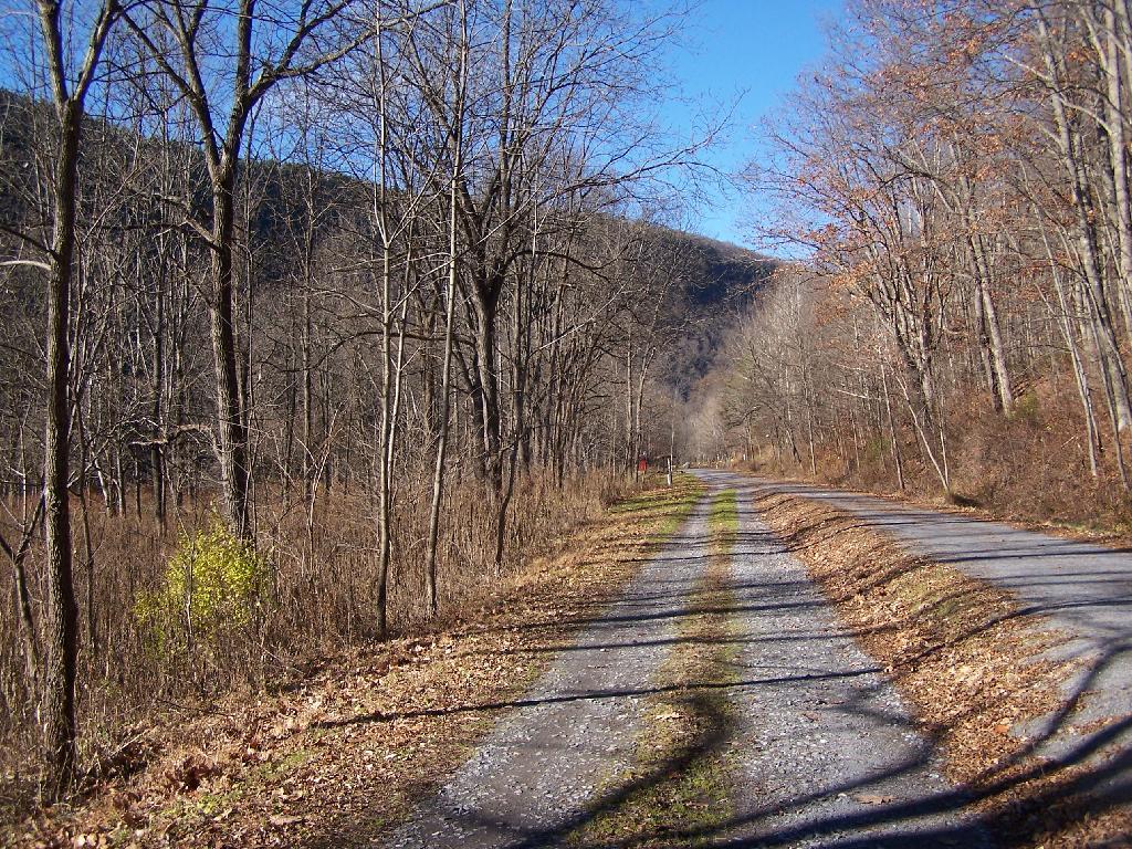Photo: Road to Tiagahton