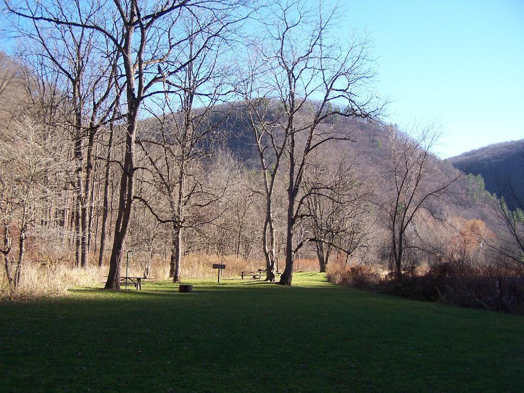 Photo: Tiadaghton Tent Camping Area