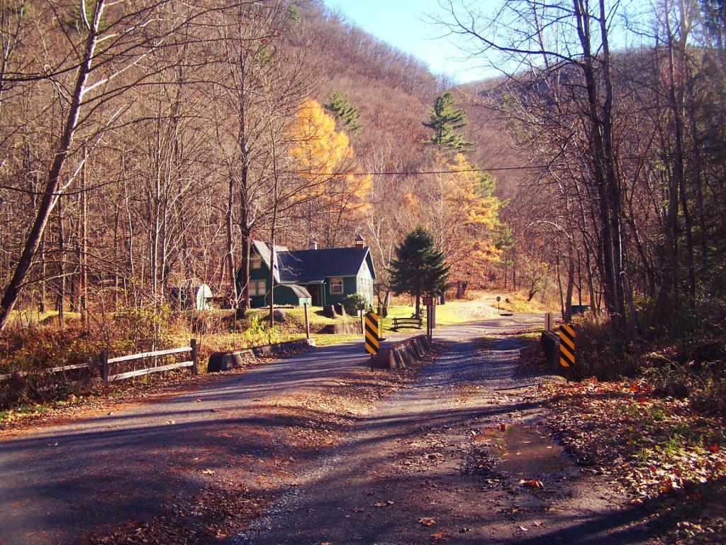 Photo: Tiadaghton Access Road and Bike Trail