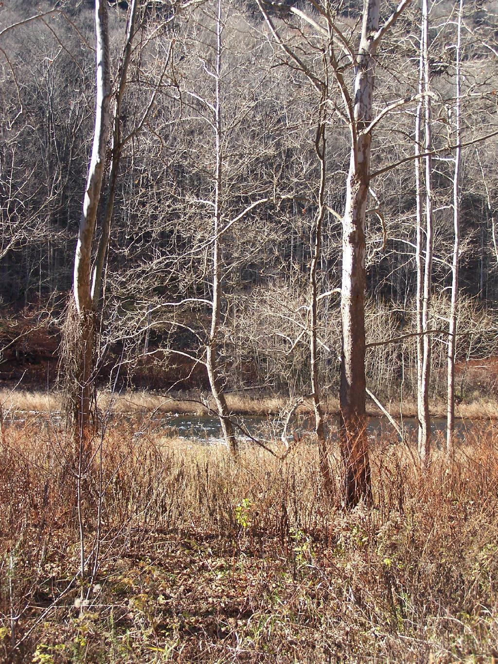 Photo: Pine Creek