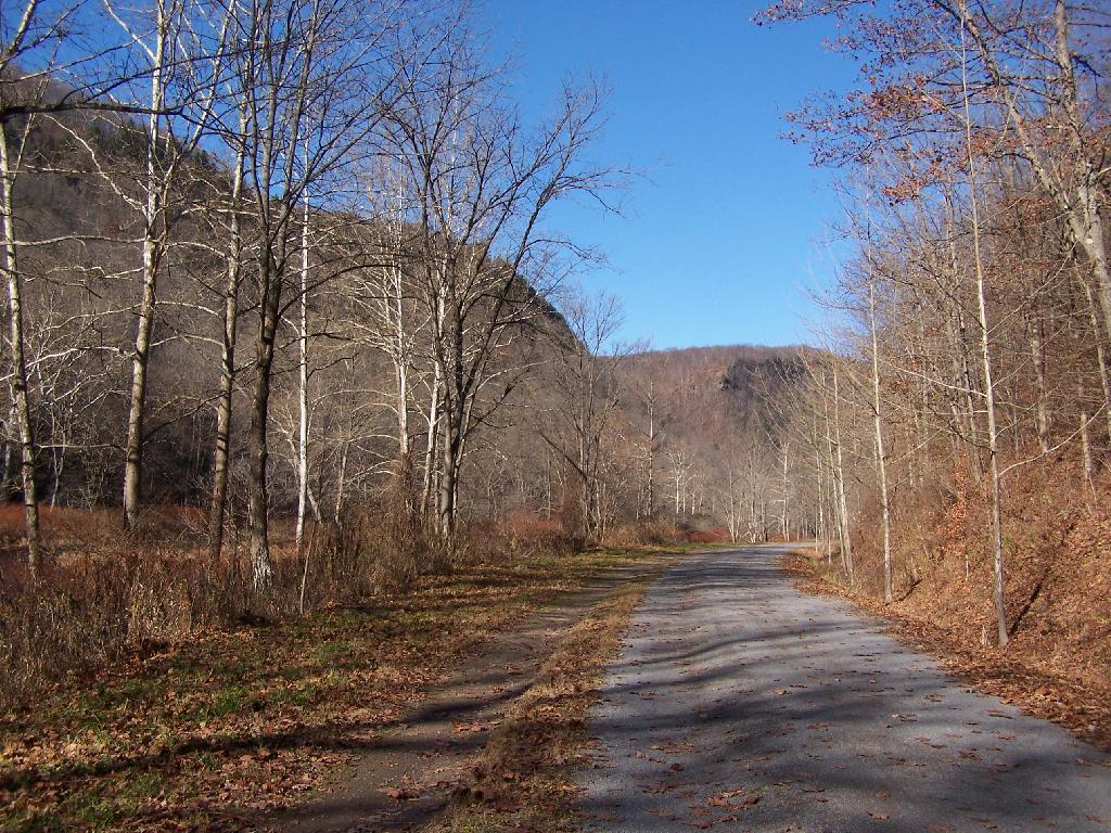 Photo: Rim Along Canyon