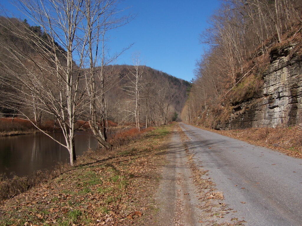 Photo: Along the Pine Creek