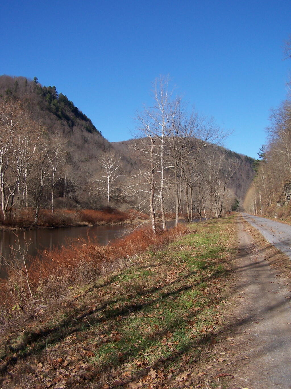 Photo: Creek's Edge