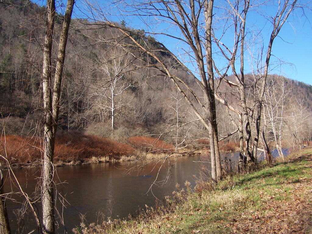 Photo: Pine Creek Photo: Pine Creek