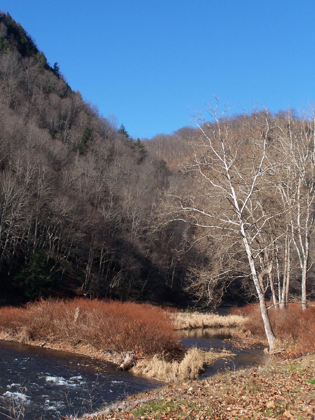 Photo: Creek