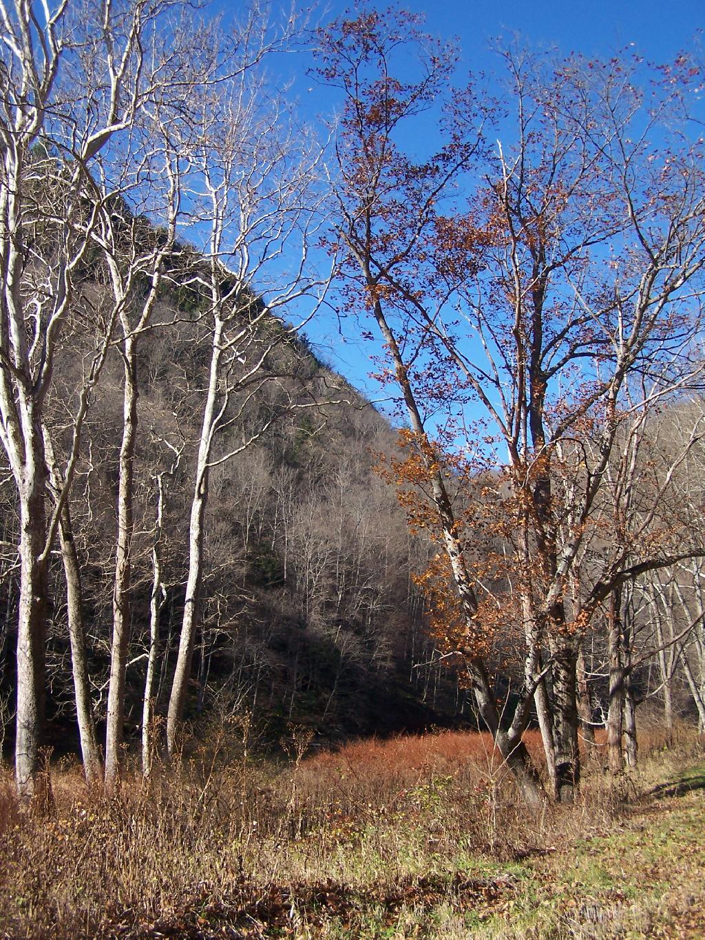 Photo: Along the Gorge