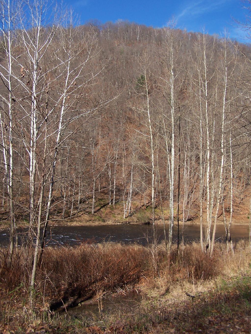 Photo: Pine Creek