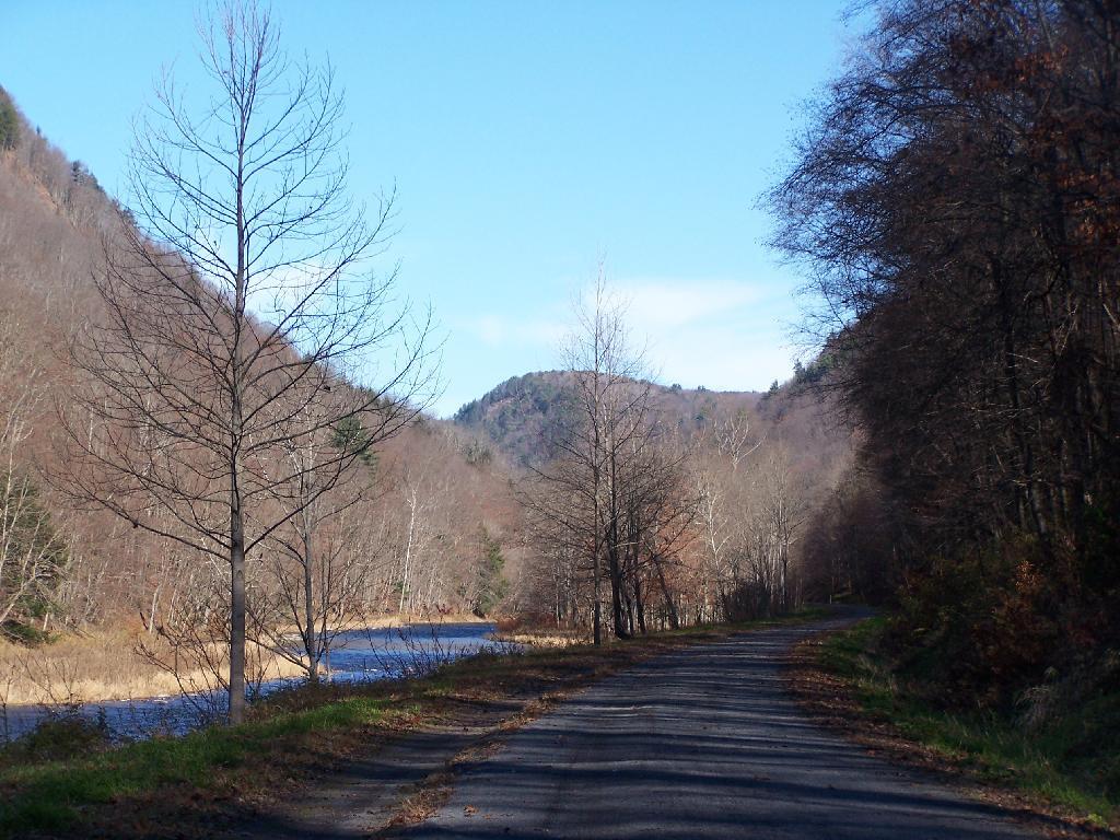 Photo: Inside the Pine Creek Gorge