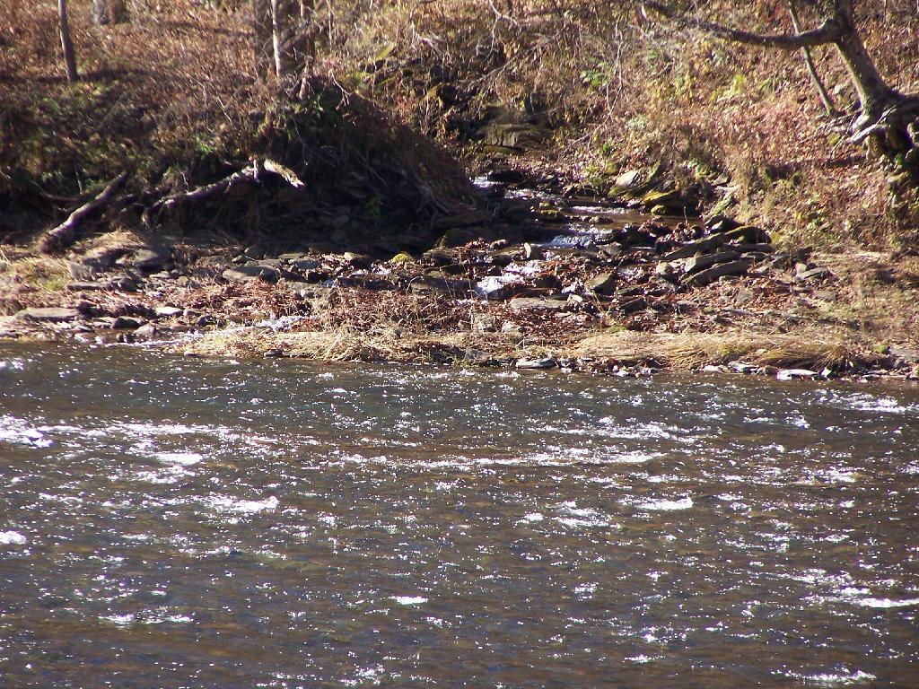 Photo: Creek