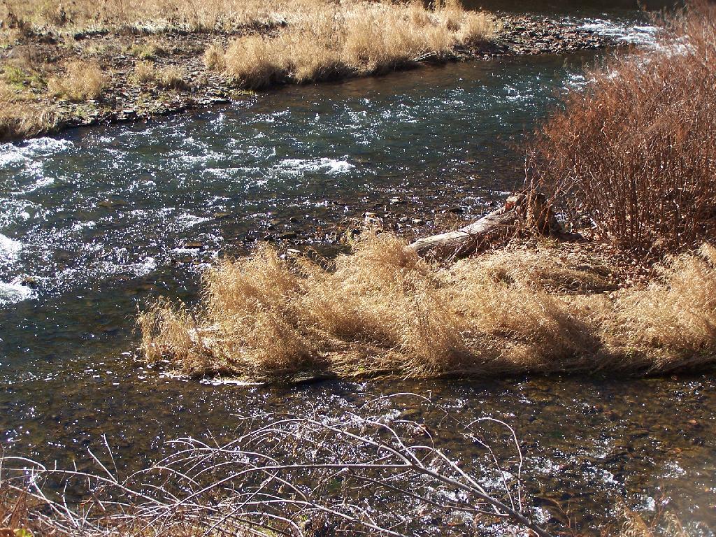 Photo: Water