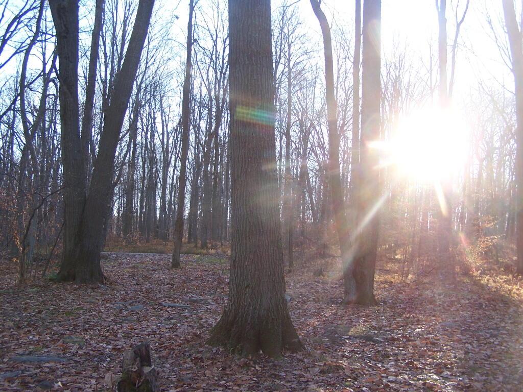 Photo: Morning