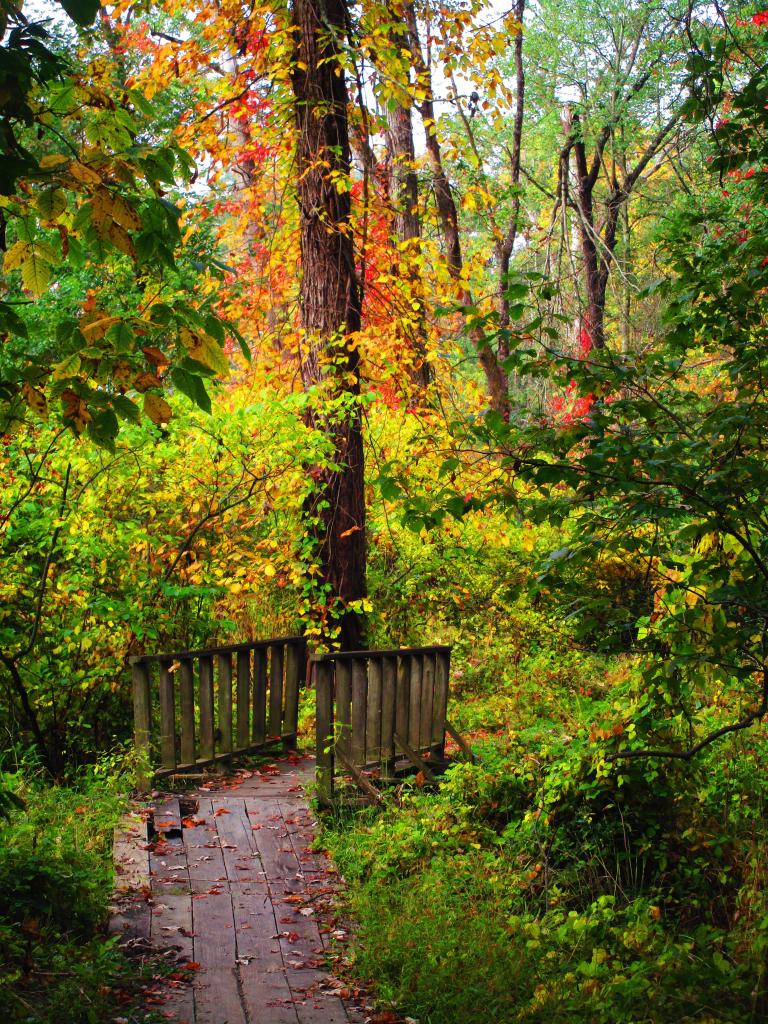 Photo: Boardwalk to the Hudson River Overlook