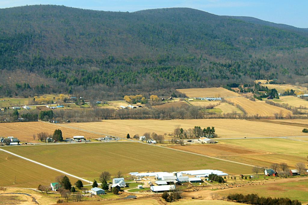 Photo: Schoharie Hill