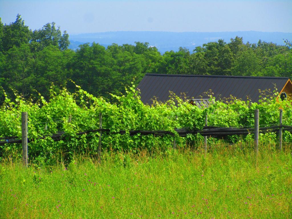 Photo: Winery along the Black Diamond Trail