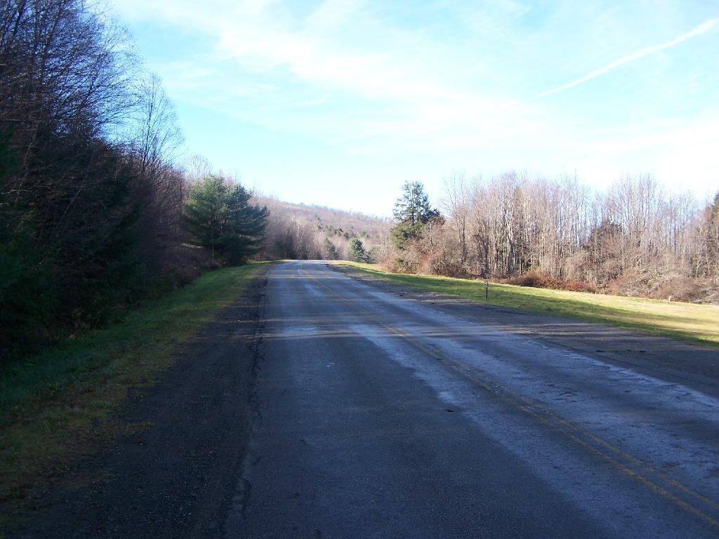 Photo: Allegany Park Road 3
