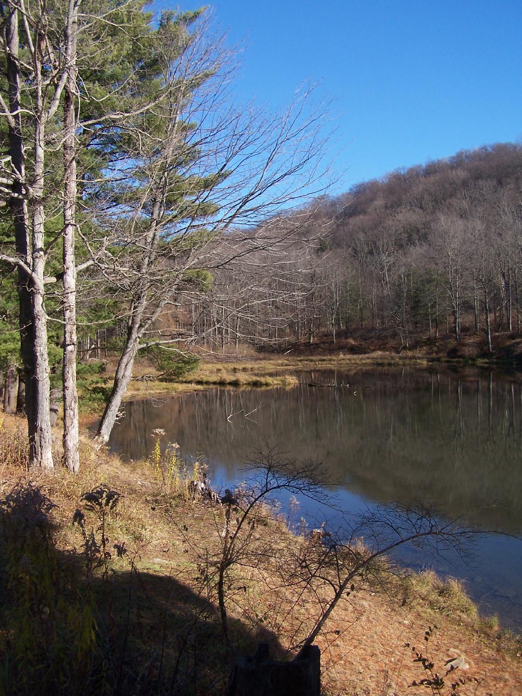 Photo: Science Lake