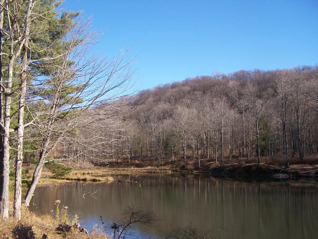 Photo: Science Pond