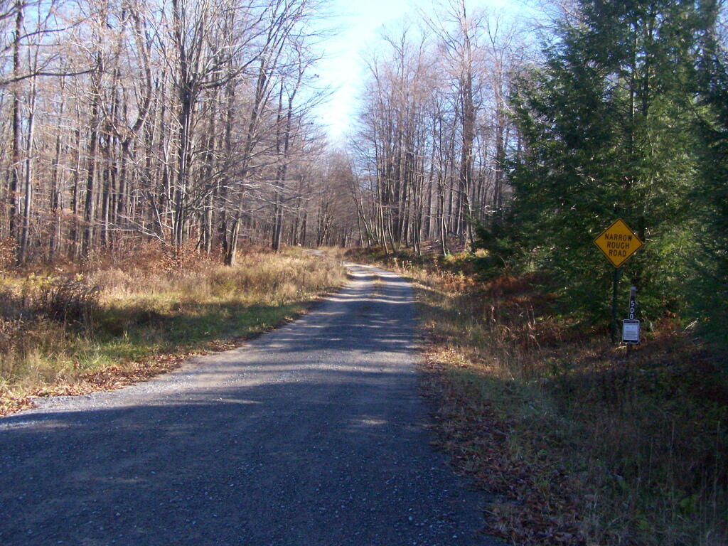 Photo: Narrow Rough Road