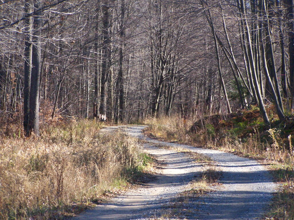 Photo: A Narrow Rough Road