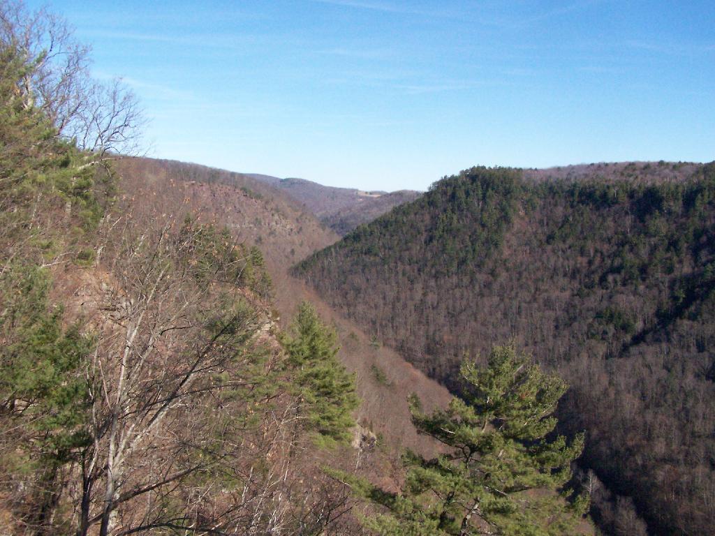 Photo: Pine Creek Gorge