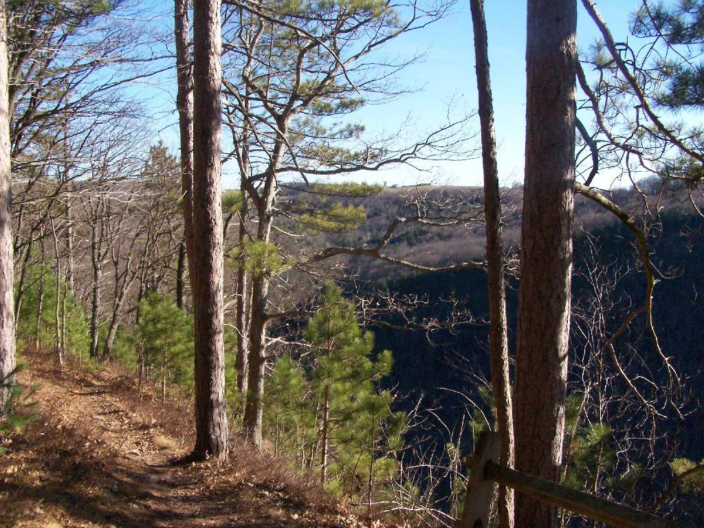 Photo: Escarpment Trail