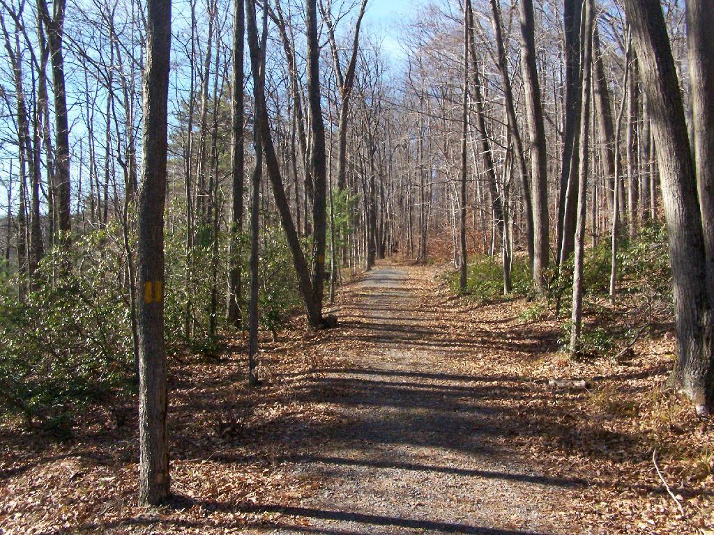 Photo: Barbour Rock Trail