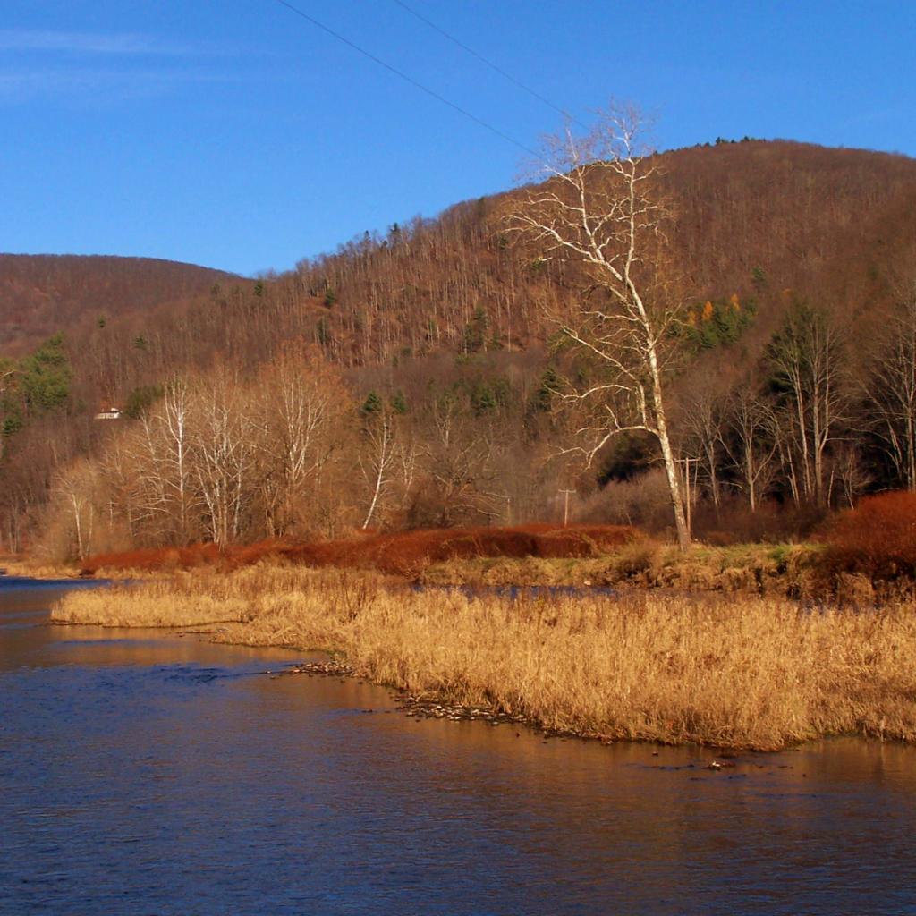 Photo: Pine Creek