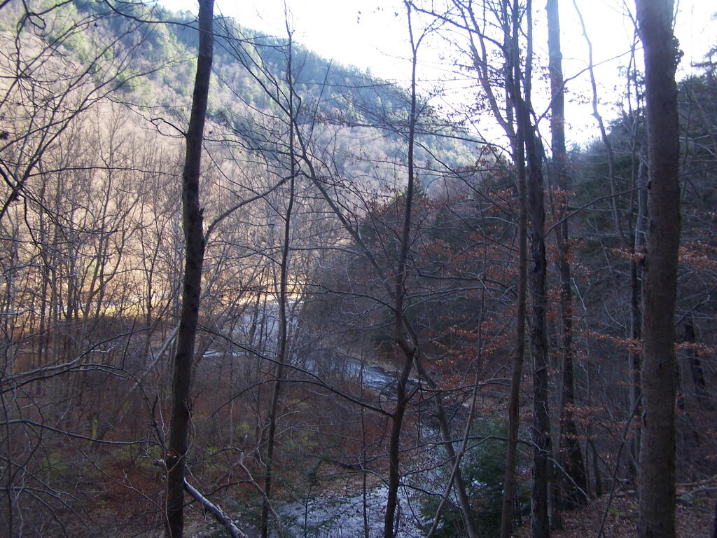 Photo: Getting Dark in Gorge