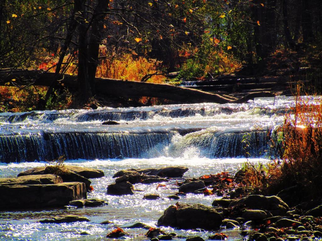 Photo: Chittenango Creek