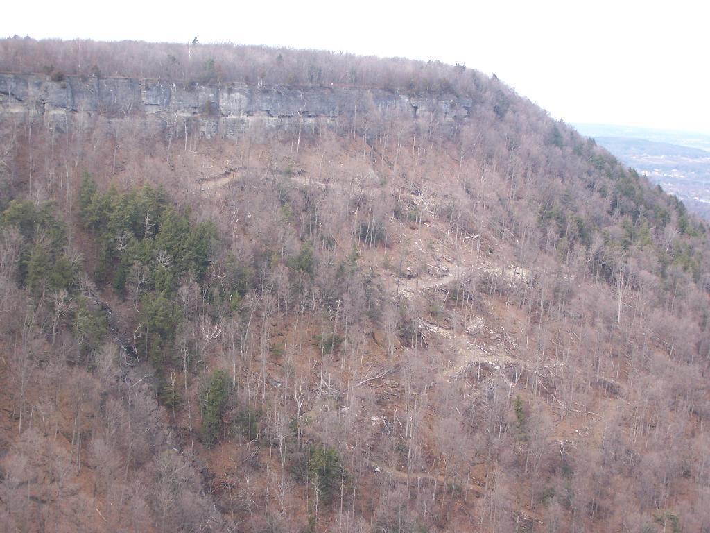 Photo: Looking Cuts Into Escarpment