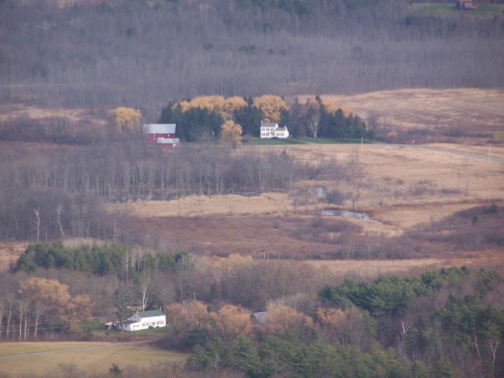 Photo: Houses