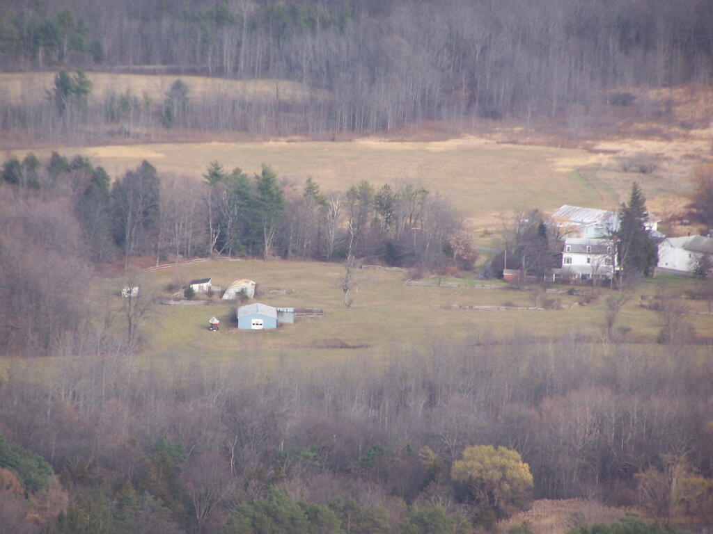 Photo: More Houses