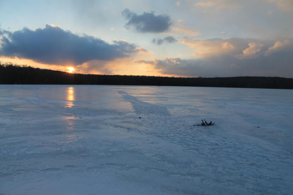 Photo: Lower