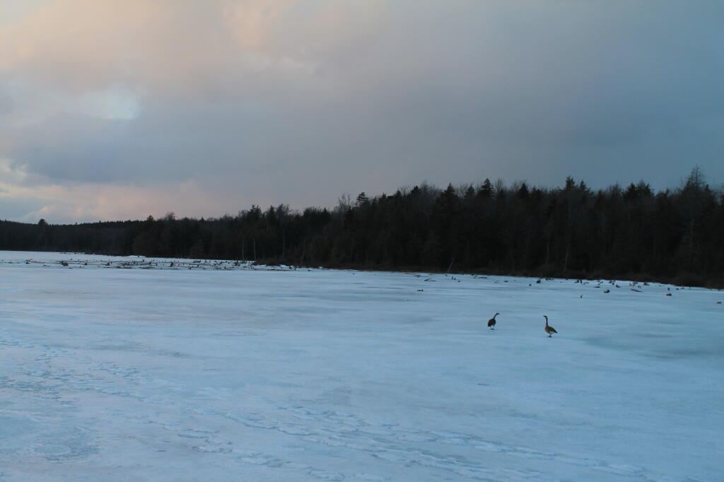Photo: Cold Night Ahead