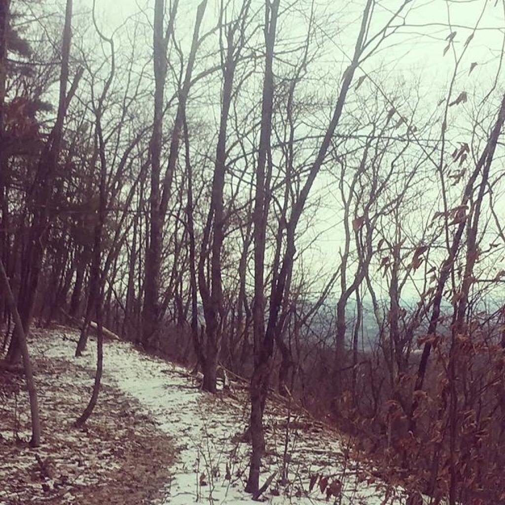 Photo: Along the edge of Wolf Hill