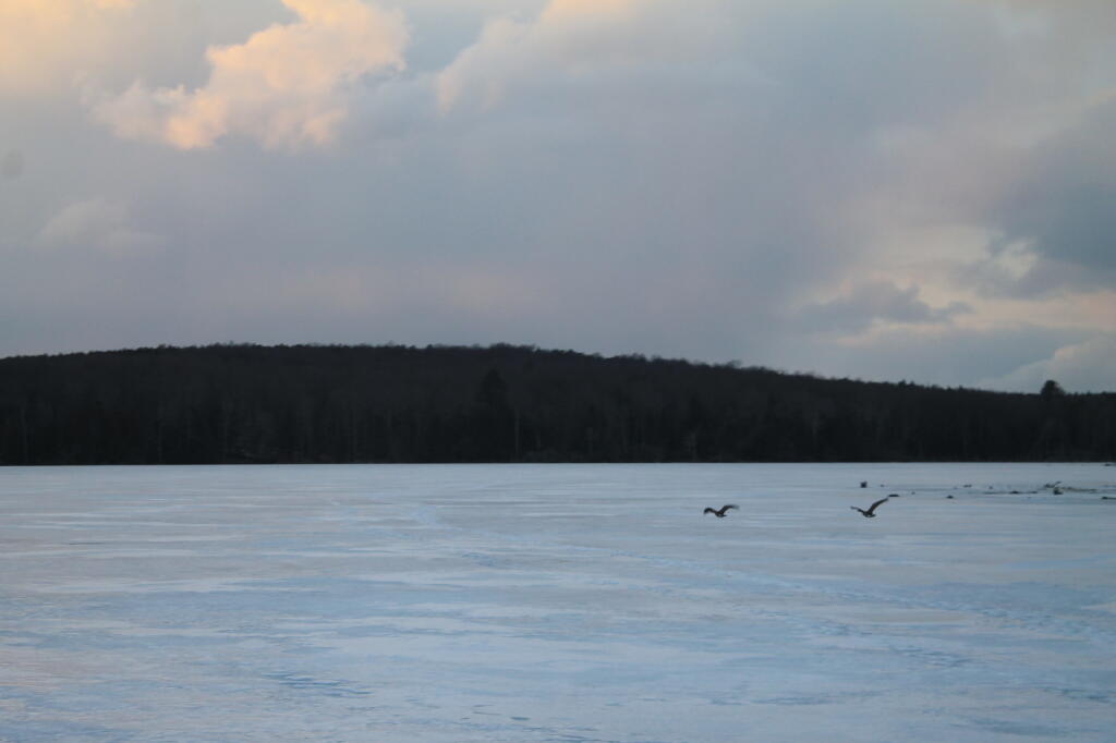 Photo: Evening on Balsam Pond