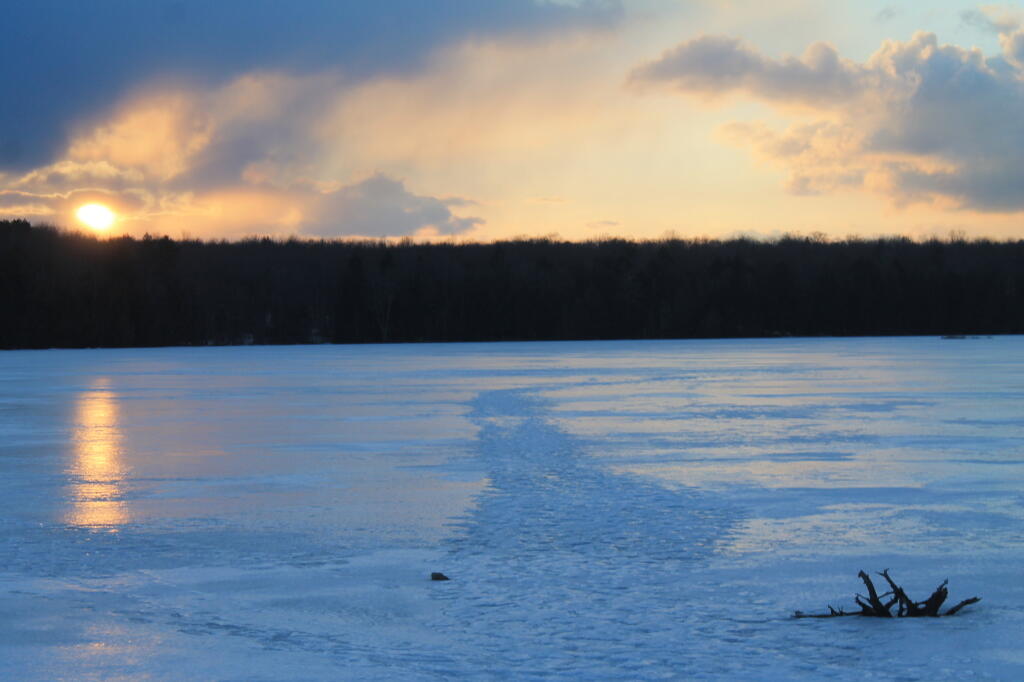 Photo: Evening at Balsam Swamp