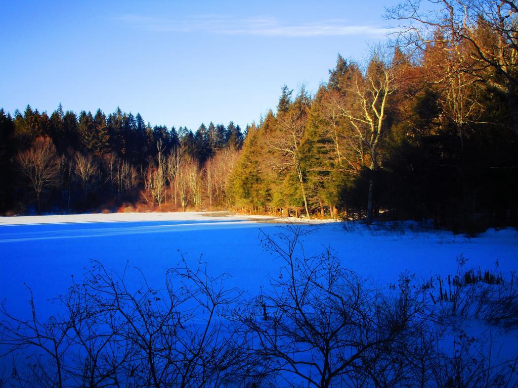 Photo: Pond at Rensselearville State Forest
