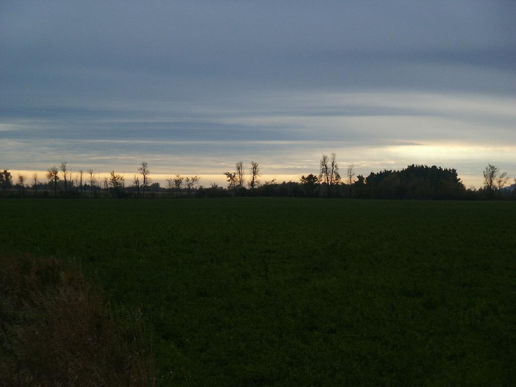 Photo: Flatlands