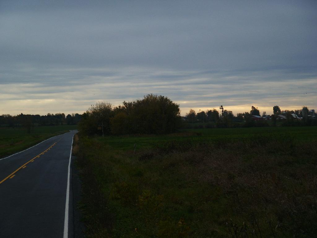 Photo: Sheldon Lane