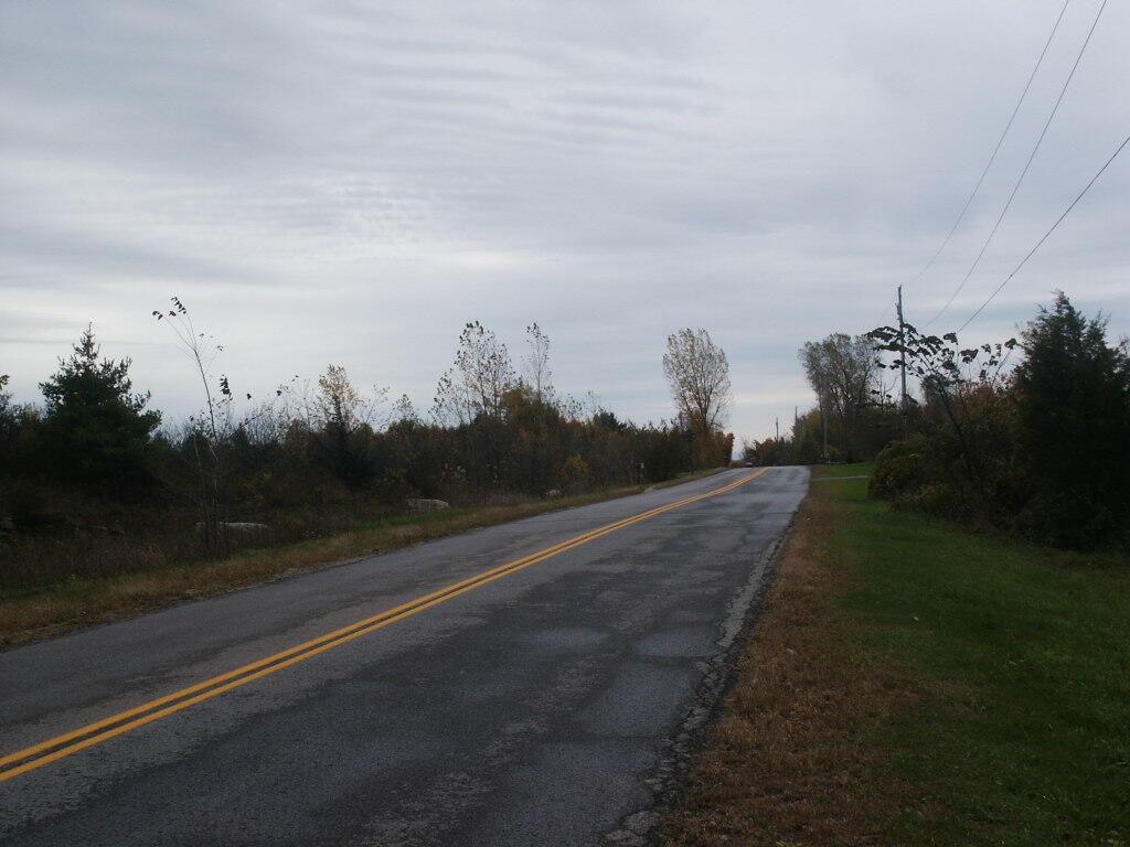 Photo: Reynolds Road