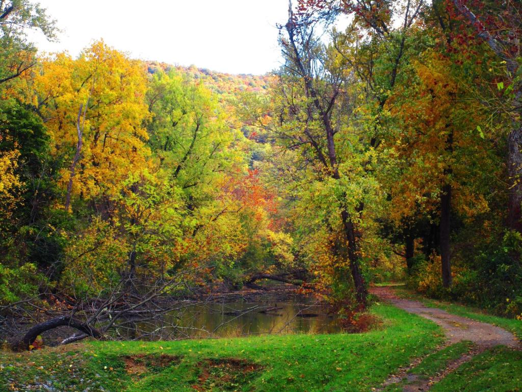 Photo: Below Lock 75