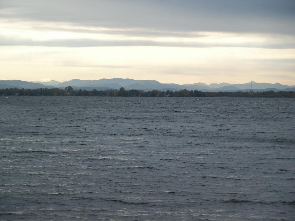 Photo: Clearing