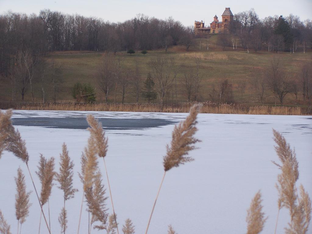 Photo: Pond